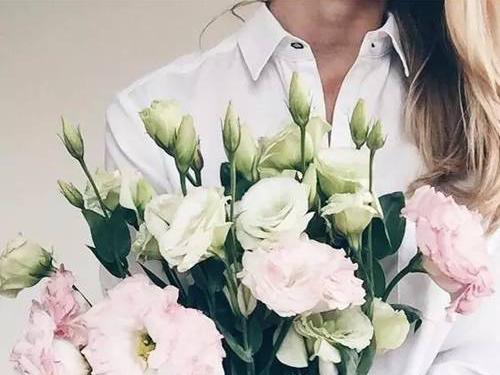 德国优才计划的微博_微博