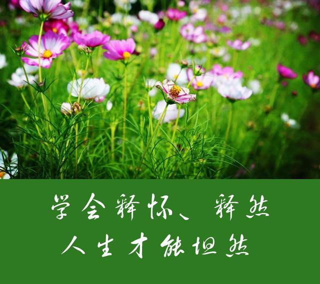 做人,心宽一寸,路宽一丈