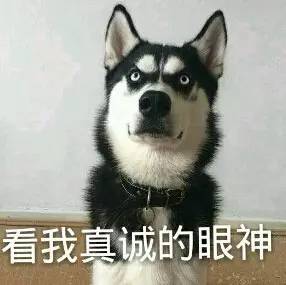 妈的那智障以为是我给它打掉的 回头就咬把老子咬进医粤怂都