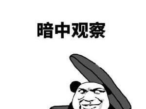 来一场说走就走的自驾游前，该检查车子的哪些地方？