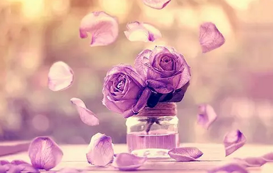 卵巢早衰,每个女性朋友都该警惕!|卵巢早衰|女性