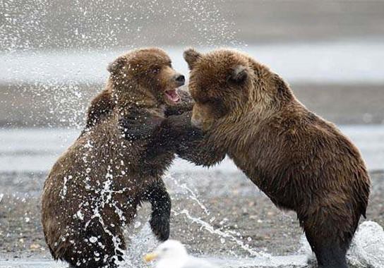 缤智死敌，配备自动刹车系统，自适应LED大灯