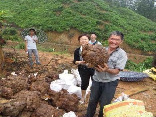 腰酸肾虚,肾阳不足,一味中药调理肾阳虚简. 来自