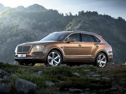 专为土豪打造，比添越低调，比卡宴有身份，卖200万