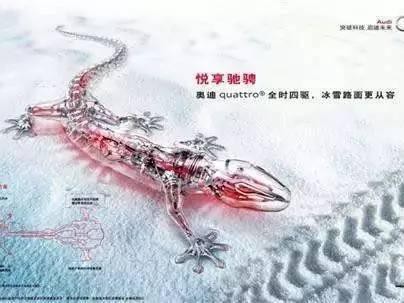 车屁股上贴着壁虎 是什么意思呢？