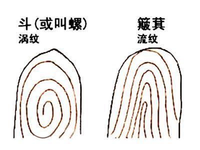 手指上的斗和簸箕，决定你的命运！