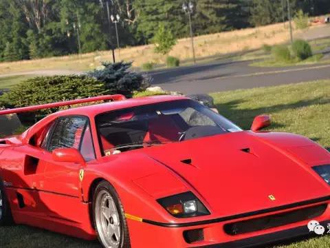 逼格远超激光大灯 却在这个世纪走向了灭绝