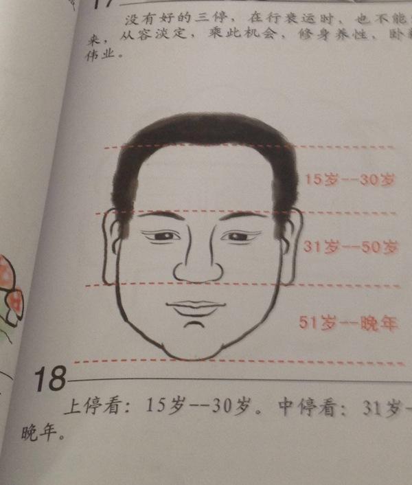 基础:教你如何从面相看命运的简单方法,中庭篇