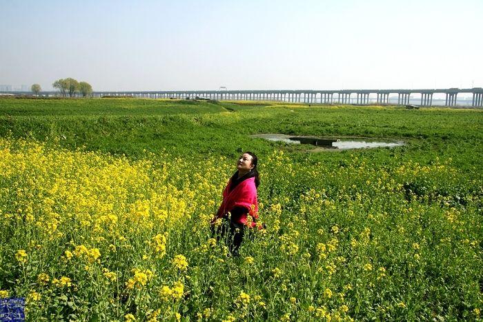 最近倒霉了万事不顺?几个风水小技巧为你解忧