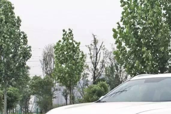 一季度投诉最低十大国产SUV出炉，H6和博越落榜！