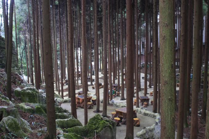 华蓥山 地跨巴蜀 横贯川渝