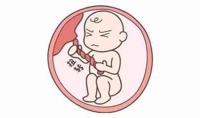 孕27周的宝宝说没就没了,是 脐带扭转 导致的?