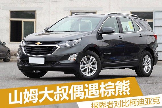 山姆大叔偶遇棕熊 谁才是最后的胜利者