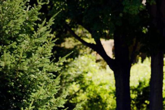 40万选择斯巴鲁傲虎的性价比在哪？