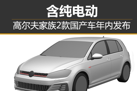 高尔夫家族2款国产车年内发布 含纯电动