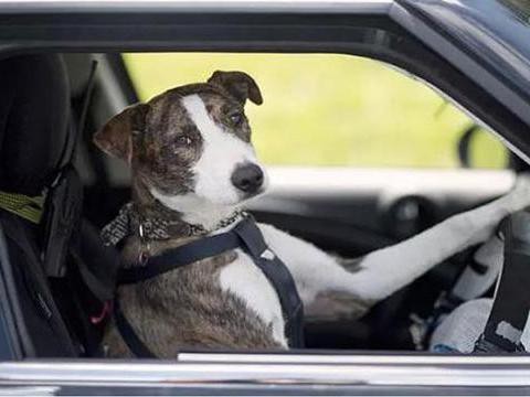 无人驾驶汽车离我们很遥远吗？