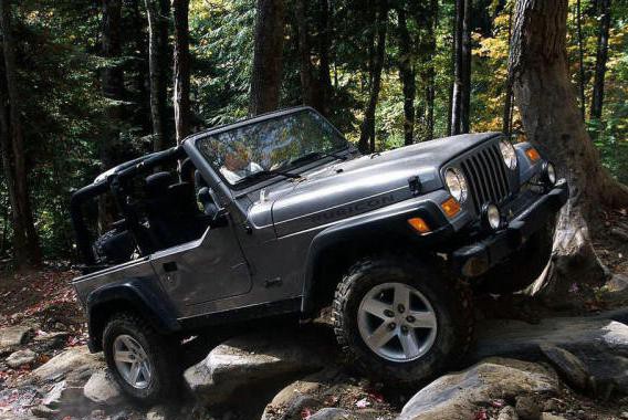 这5个按钮在高速行驶时千万别乱按，否则......