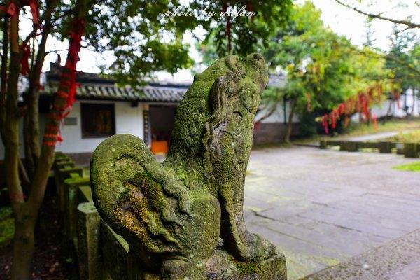 广安还有这样的地方 迷路发现的美景