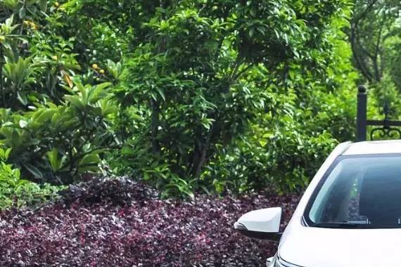 卡罗拉兵临城下，黄金铁三角面临瓦解