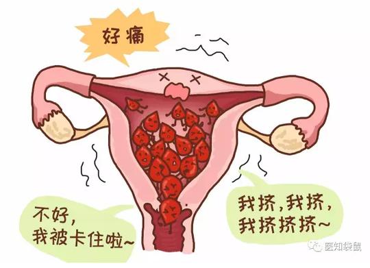 生孩子能治痛经?扒一扒:生孩子能治的那些病|生