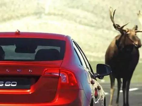 别作死！20万的SUV，这几款高速避险能力同级最差！