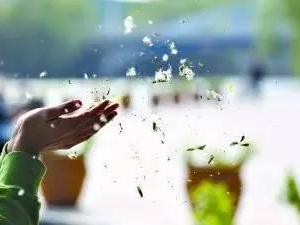 谁是抗霾利器？ 4款空气净化功能强大车型推荐