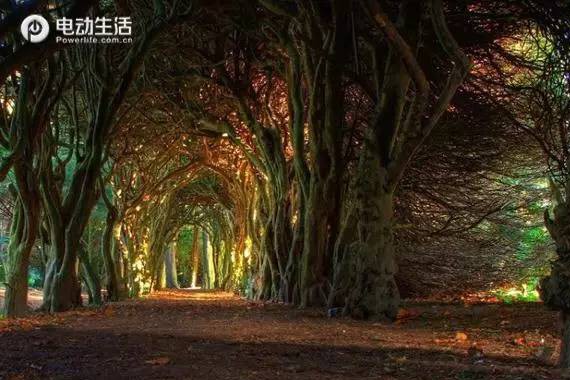 仙境一般的停车场 这车位可是真够用心