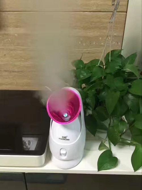 直男必备!金稻蒸脸器520女生最想要的礼物