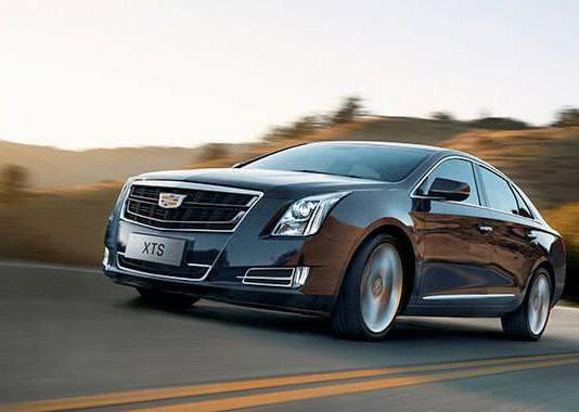 8岁小学生作文，暴露“中国好妈妈”座驾标准