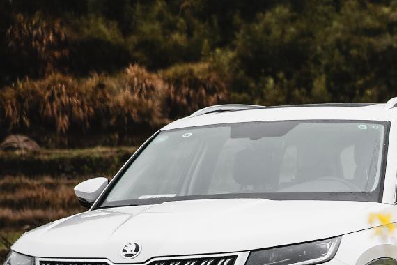 对比“孪生兄弟” 柯迪亚克只性价比更具优势？