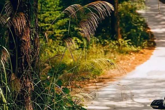 6万多买台SUV，小伙轻松“搞定”岳父大人