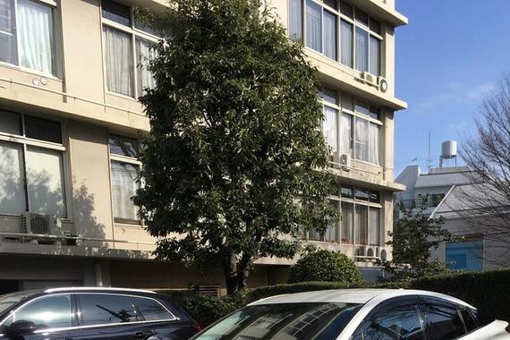 丰田主场：东京旅行随手拍笔记（多图）