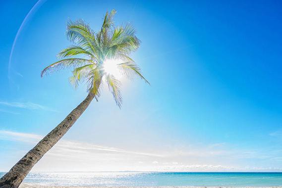 不要30万也不用20万！开走旅行车最便宜只要4万？