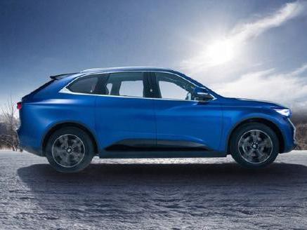 逆天电动车，内饰比肩豪车，比Model X便宜70万！