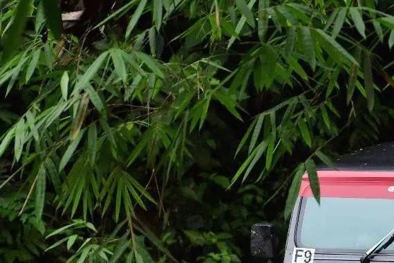 想开你的SUV去越野，先看看有没有这本事