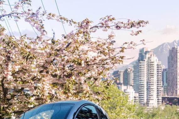 10万元的最便宜纯电动汽车？