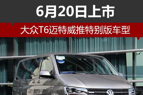 大众T6迈特威推特别版车型 6月20日上市