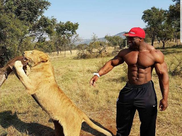 【力量比狮子强大,腹肌比拉扎尔完美,健美. 来自