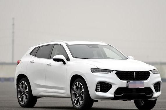 坐在路边吃烧烤，旁边小伙说试驾了WEY VV7