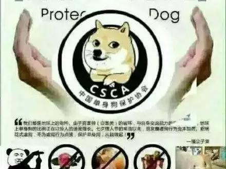 日本车最耐操？这些绕地球几圈的车子都没说话呢！