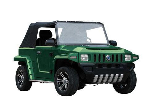 第十四张新能源牌照出炉，低速电动车要“转正”？