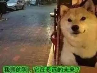 一周新车：全尺寸SUV一箱油能跑1000km