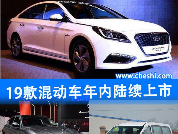 终结“里程恐惧” 19款混动车型年内陆续上市