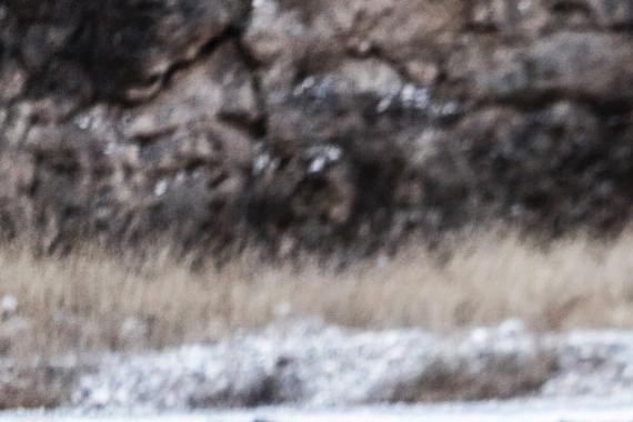 美得吓人or丑得勾魂 深测起亚KX5