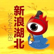 新浪湖北
