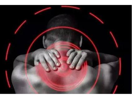 软骨素功效大揭秘 氨糖软骨素的作用区别