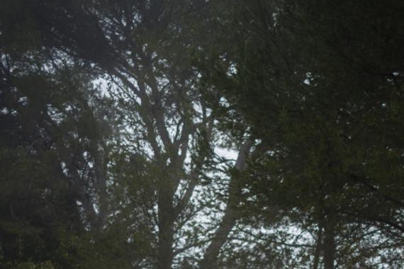 有什么话赛道说吧 宝马M4改装案例