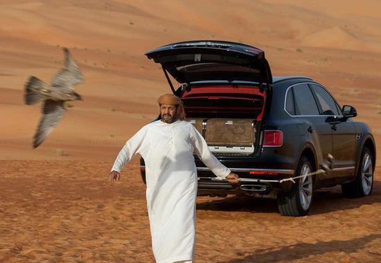 宾利专为猎鹰造台车！这种大玩具只有中东土豪会买账