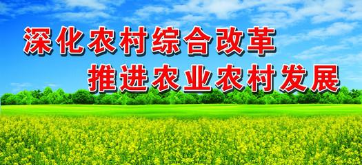 2017年，农村遇到的四大挑战，农民朋友要挺住