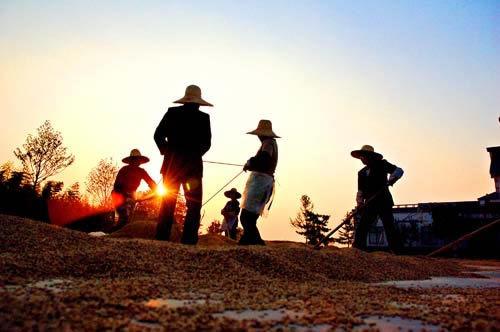 2017年，农村遇到的四大挑战，农民朋友要挺住